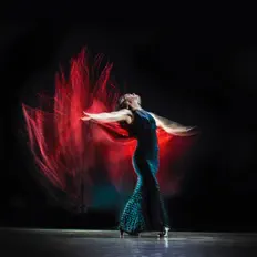 Centro Flamenco La Soleáを聴いたり、ミュージックビデオを鑑賞したり、経歴やツアー日程などを確認したりしましょう！