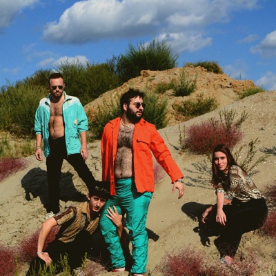Listen to Vizelj, watch music videos, read bio, see tour dates & more!