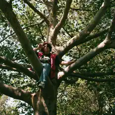 Écoutez Alex Infinity, regardez des vidéoclips, lisez la biographie, consultez les dates de tournée et plus encore !