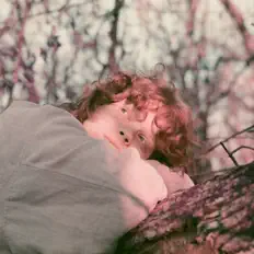 Pumpkin Milkを聴いたり、ミュージックビデオを鑑賞したり、経歴やツアー日程などを確認したりしましょう！