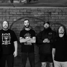 Escucha a Bare King, mira videos musicales, lee su biografía, consulta las fechas de las gira y más.