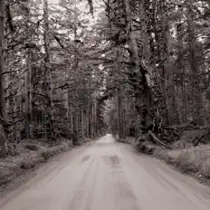 Dengarkan The Bills, tonton video musik, baca bio, lihat tanggal tur & lainnya!