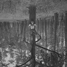 聆聽 REMMER、觀看音樂影片、閱讀小傳、查看巡演日期等！