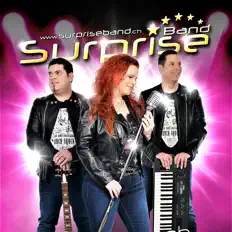 Surprise Bandを聴いたり、ミュージックビデオを鑑賞したり、経歴やツアー日程などを確認したりしましょう！