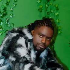 收听 LION B、观看音乐视频、阅读小传、查看巡演日期等 ！