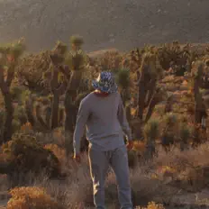 收听 D Spins、观看音乐视频、阅读小传、查看巡演日期等 ！