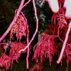 Ascolta Leeb0rn, guarda video musicali, leggi la biografia, vedi le date del tour & altro!