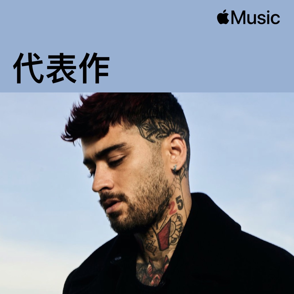 ZAYN代表作