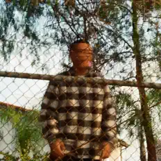 Ouve Laveaga, vê vídeos de música, lê a biografia, vê as datas da digressão e muito mais!