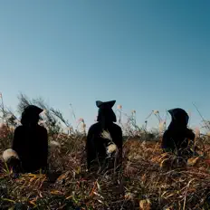 Écoutez 彩ノ目, regardez des vidéoclips, lisez la biographie, consultez les dates de tournée et plus encore !