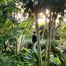 WU1を聴いたり、ミュージックビデオを鑑賞したり、経歴やツアー日程などを確認したりしましょう！