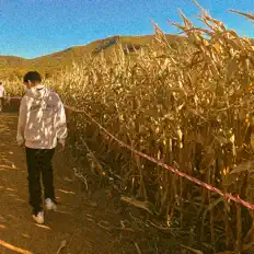 Dengarkan Christy, tonton video musik, baca bio, lihat tanggal tur & lainnya!