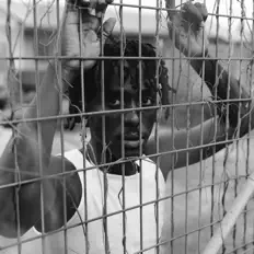 Listen to Kofi Mole, watch music videos, read bio, see tour dates & more!