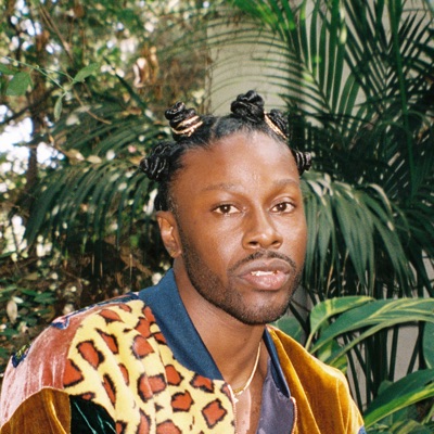 Jesse Boykins III