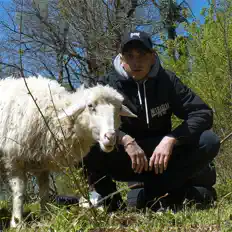 Ακούστε περιεχόμενο από Joe Sfrè, παρακολουθήστε μουσικά βίντεο, διαβάστε το βιογραφικό, δείτε ημερομηνίες περιοδείας, και πολλά ακόμη!