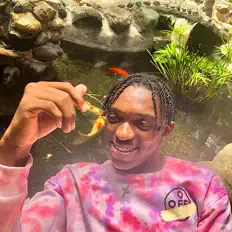 Escucha a Jávier Royal, mira vídeos musicales, lee la biografía, consulta fechas de giras y mucho más.