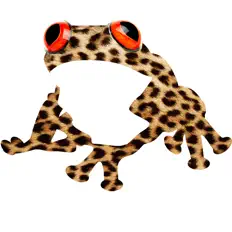 Listen to Amphibious Zoo Music, watch music videos, read bio, see tour dates & more!