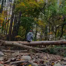 Listen to Aura Daniel, watch music videos, read bio, see tour dates & more!