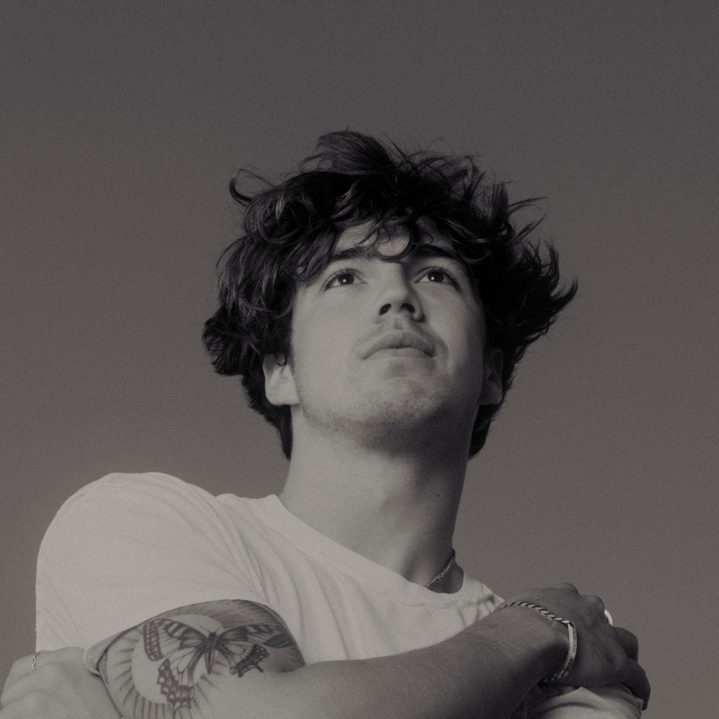 ily (i love you baby) [feat. Emilee] - Surf Mesa