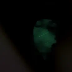 收听 FCH、观看音乐视频、阅读小传、查看巡演日期等 ！