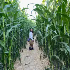 Dengarkan aydreeyn, tonton video musik, baca bio, lihat tanggal tur & lainnya!