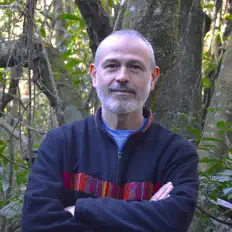 Mário Falcãoを聴いたり、ミュージックビデオを鑑賞したり、経歴やツアー日程などを確認したりしましょう！