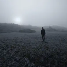 收听 Birdengine、观看音乐视频、阅读小传、查看巡演日期等 ！