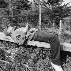 Hör dir Jul$en an, schau dir Musikvideos an, lies die Biografie, finde Tourdaten und mehr!