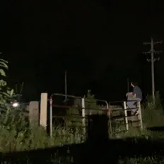 NightMayne.を聴いたり、ミュージックビデオを鑑賞したり、経歴やツアー日程などを確認したりしましょう！