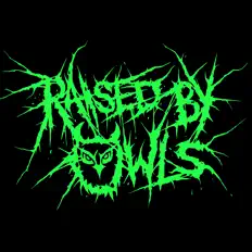 聆聽 Raised by Owls、觀看音樂影片、閱讀小傳、查看巡演日期等！