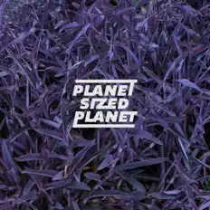 Ακούστε περιεχόμενο από Planet-Sized-Planet, παρακολουθήστε μουσικά βίντεο, διαβάστε το βιογραφικό, δείτε ημερομηνίες περιοδείας, και πολλά ακόμη!
