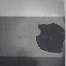 Hör dir Young Mvchetes an, schau dir Musikvideos an, lies die Biografie, finde Tourdaten und mehr!