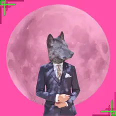 收听 B Wolf الديب、观看音乐视频、阅读小传、查看巡演日期等 ！