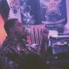 Don Cesarを聴いたり、ミュージックビデオを鑑賞したり、経歴やツアー日程などを確認したりしましょう！