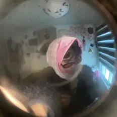 Listen to Yordi Farrel, watch music videos, read bio, see tour dates & more!