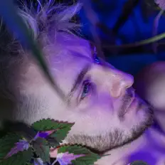 Listen to Benjamin Yellowitz, watch music videos, read bio, see tour dates & more!