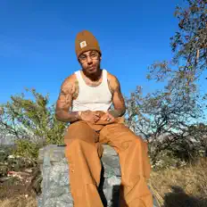 收听 D.E.V、观看音乐视频、阅读小传、查看巡演日期等 ！