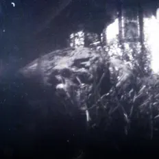 Listen to Bovinophobic Bile Puddle, watch music videos, read bio, see tour dates & more!