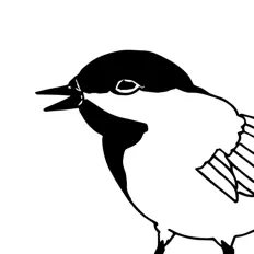 Listen to Unreasonable Act, watch music videos, read bio, see tour dates & more!