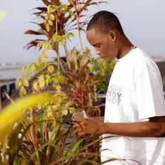 Luister naar Boi Travis, bekijk muziekvideo's, lees de bio, bekijk de tourdata, en meer!