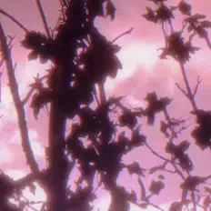 Escucha a Handprnt, mira vídeos musicales, lee la biografía, consulta fechas de giras y mucho más.