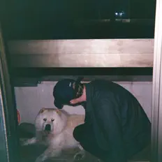 mndyrmm सुनें, म्यूज़िक वीडियो देखें, बायो पढ़ें, दौरे की तारीखें और बहुत कुछ देखें!