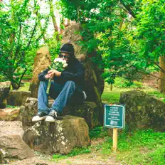 Dengarkan tyk!, tonton video musik, baca bio, lihat tanggal tur & lainnya!