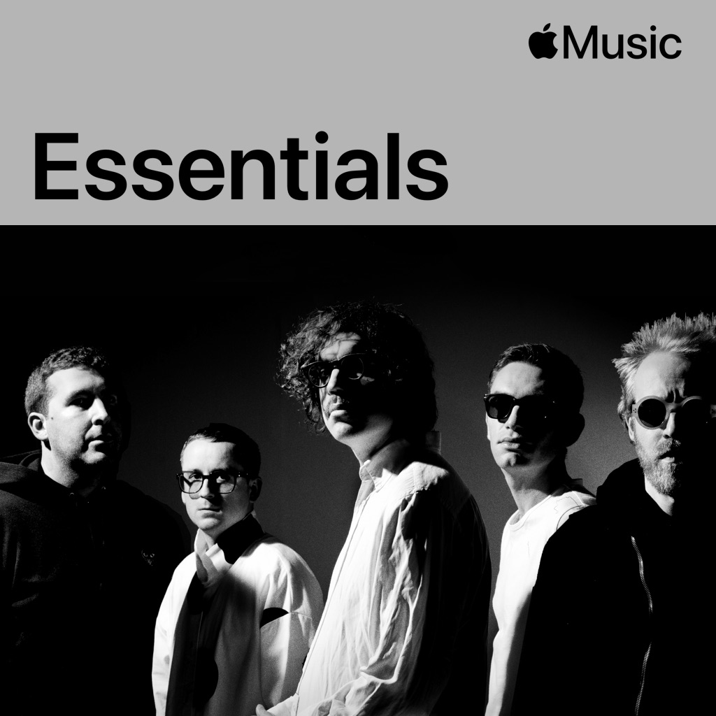 Hot Chip Essentials