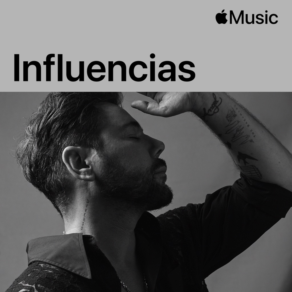 Miguel Poveda: influencias