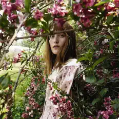 Sophie van Hasseltを聴いたり、ミュージックビデオを鑑賞したり、経歴やツアー日程などを確認したりしましょう！