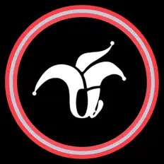 Écoutez Grupo Musical Versátil U-Party, regardez des vidéoclips, lisez la biographie, consultez les dates de tournée et plus encore !
