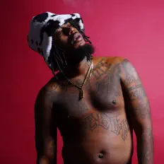 Hör dir Beebop Forever an, schau dir Musikvideos an, lies die Biografie, finde Tourdaten und mehr!