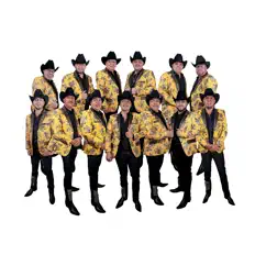 Banda Rafagaを聴いたり、ミュージックビデオを鑑賞したり、経歴やツアー日程などを確認したりしましょう！