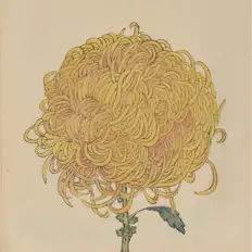 Ouve DUP SYS, vê vídeos de música, lê a biografia, vê as datas da digressão e muito mais!